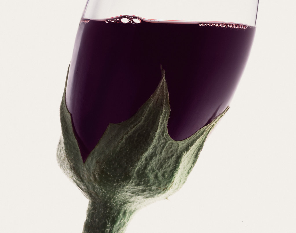 Delhaize-aubergine.jpg